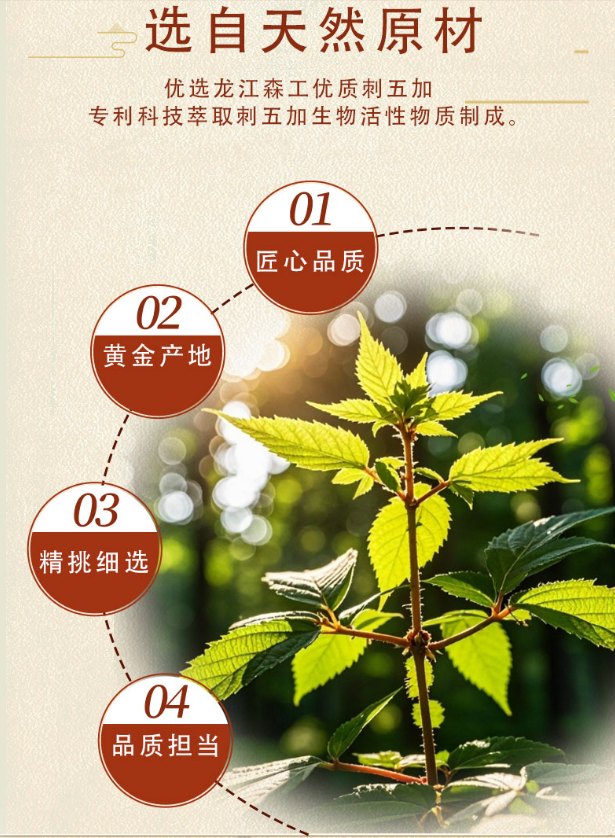 刺五加口溶膜 - 1